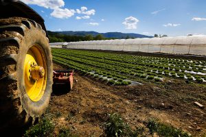 assicurazioni per aziende agricole