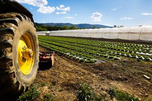 rischio azienda agricola